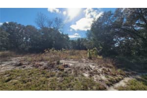 SW 131ST LN, OCALA, FL 34473 Sold 03/16/26