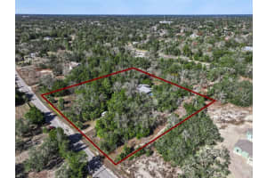 10065 ORCHARD WAY, SPRING HILL, FL 34608 Sold 03/02/26