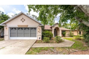 60 Whittington Dr, PALM COAST