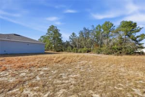 133 VIOLET COURT, KISSIMMEE, FL 34759 - MLS#MFRO6376186