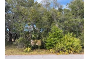 195 LAKE MOLLY AVENUE, DELAND, FL 32724 - MLS#MFRO6376370