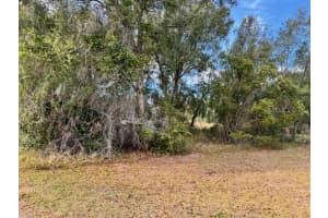 195 LAKE MOLLY AVENUE, DELAND, FL 32724 - MLS#MFRO6376370