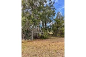 195 LAKE MOLLY AVENUE, DELAND, FL 32724 - MLS#MFRO6376370