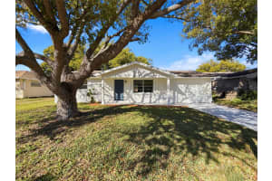 5817 ELENA DRIVE, HOLIDAY, FL 34690 - MLS#MFRO6376453