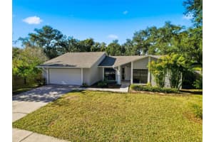 915 Woodleaf Way, TAMPA 915 Woodleaf Way, TAMPA