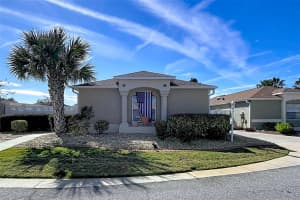 388 BRADLEY TERRACE, THE VILLAGES, FL 32162 - MLS#MFRO6376726