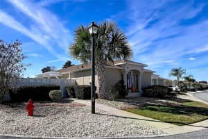 388 BRADLEY TERRACE, THE VILLAGES, FL 32162 - MLS#MFRO6376726