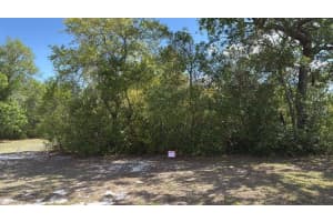 1105 GRAPEFRUIT AVENUE, SEBRING, FL 33870 - MLS#MFRO6376788