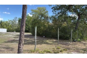 1105 GRAPEFRUIT AVENUE, SEBRING, FL 33870 - MLS#MFRO6376788