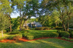 55 OAK HOLLOW DRIVE, APOPKA, FL 32712 - MLS#MFRO6376845