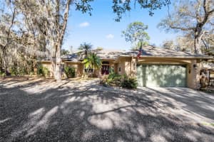 295 JUNGLE ROAD, GENEVA, FL 32732 - MLS#MFRO6376882