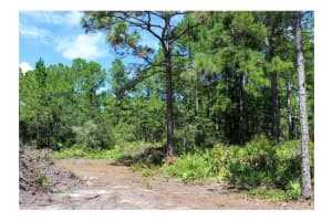 APRICOT AVE, EUSTIS, FL 32736 - MLS#MFRO6377042