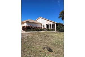 28647 Twinbrook, WESLEY CHAPEL 28647 Twinbrook, WESLEY CHAPEL