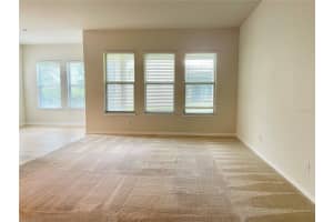 12536 CLIMBING VINE COURT, WINDERMERE, FL 34786 - MLS#MFRO6377191