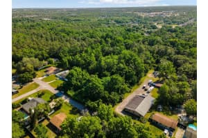 2209 GRAYSON DRIVE, ORLANDO, FL 32817 - MLS#MFRO6377360