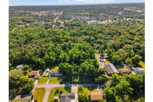 2209 GRAYSON DRIVE, ORLANDO, FL 32817 - MLS#MFRO6377360