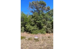 12405 GOLDIE POINT, DUNNELLON, FL 34433 - MLS#MFRO6377505