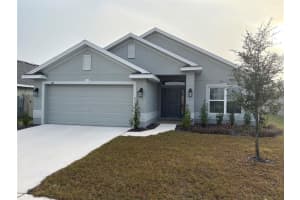 1171 BERRY LANE, DAVENPORT, FL 33837 - MLS#MFRO6377545