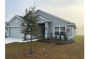 1171 BERRY LANE, DAVENPORT, FL 33837 - MLS#MFRO6377545