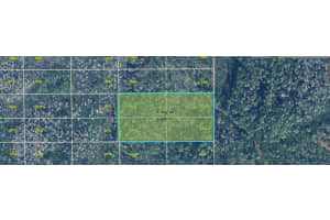 MLS# MFRO6377579, Orlando, Florida 32820