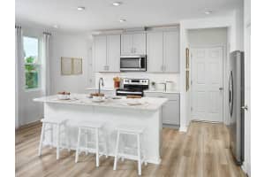 16270 BIRD OF PARADISE, CLERMONT, FL 34714 - MLS#MFRO6377583