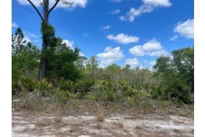 331 TANAGER AVENUE, SEBRING, FL 33870 - MLS#MFRO6377658