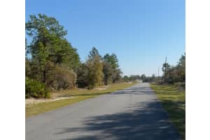 6783 PAVILION LOOP, CITRUS SPRINGS, FL 34433 - MLS#MFRO6377812