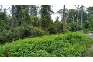 12TH AVE, DELAND, FL 32724 - MLS#MFRO6377863