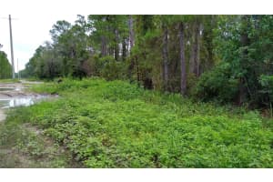12TH AVE, DELAND, FL 32724 - MLS#MFRO6377863