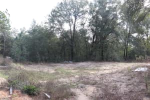 15004 23RD PLACE, OCALA, FL 34481 - MLS#MFRO6377872