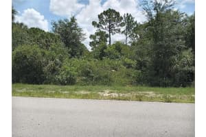 13204 GREEN GULF BOULEVARD, PUNTA GORDA, FL 33955 - MLS#MFRO6378017