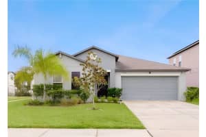 7419 Pearly Everlasting Ave, TAMPA 7419 Pearly Everlasting Ave, TAMPA