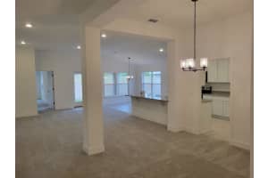 271 VERNY GROVE LANE, LEESBURG, FL 34748 - MLS#MFRO6378053