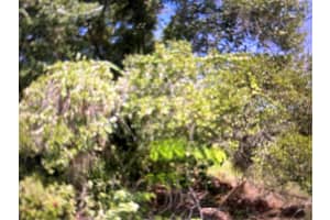 1697 WANETA ST, PALM BAY, FL 32909 Sold 02/27/26