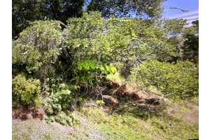 1697 WANETA ST, PALM BAY, FL 32909 Sold 02/27/26