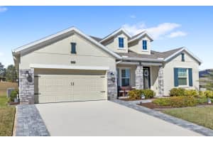 5325 Basalt Dr, MOUNT DORA