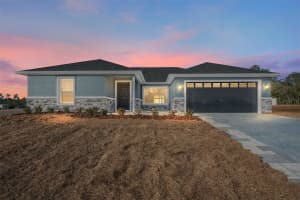 161 BAY ROAD, OCKLAWAHA, FL 32179 - MLS#MFRO6378255