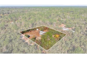 19661 94TH PLACE, OCKLAWAHA, FL 32179 - MLS#MFRO6378272