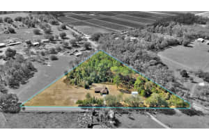 17125 TUSCANOOGA ROAD, GROVELAND, FL 34736 - MLS#MFRO6378295