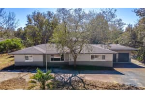 16880 63RD LANE, OCKLAWAHA, FL 32179 - MLS#MFRO6378305