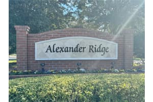 2262 ROMANUM DRIVE, WINTER GARDEN, FL 34787 - MLS#MFRO6378310