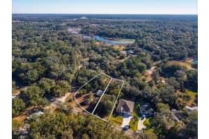 31060 Lochmore Cir, SORRENTO