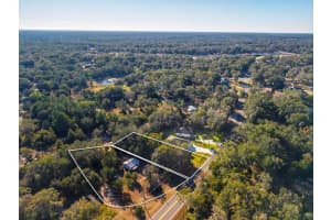 31060 LOCHMORE CIRCLE, SORRENTO, FL 32776 - MLS#MFRO6378439