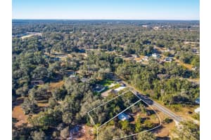 31060 LOCHMORE CIRCLE, SORRENTO, FL 32776 - MLS#MFRO6378439