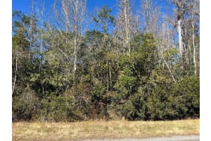 NETHERLAND ST, ORLANDO, FL 32833 - MLS#MFRO6378532