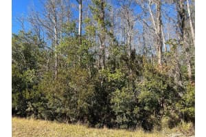 NETHERLAND ST, ORLANDO, FL 32833 - MLS#MFRO6378532