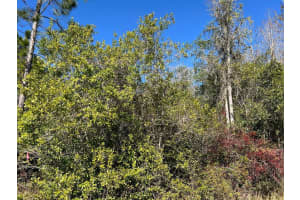 NETHERLAND ST, ORLANDO, FL 32833 - MLS#MFRO6378532