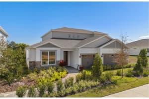 16062 Winding Bluff Dr, MONTVERDE