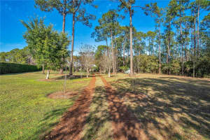 11451 FANGORN ROAD, ORLANDO, FL 32825 - MLS#MFRO6378632