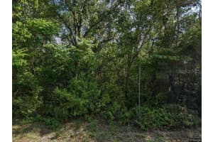 916 PINEAIRE STREET, INVERNESS, FL 34452 - MLS#MFRO6378643